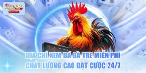 Địa Chỉ Xem Đá Gà Tre Miễn Phí Chất Lượng Cao Đặt Cược 24/7